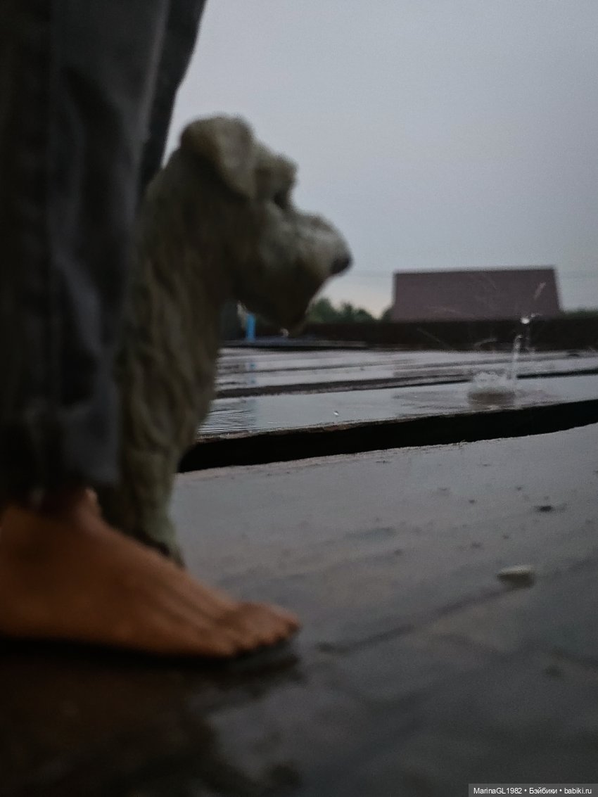 Вечерний моцион — Куклы Integrity Toys (Интегрити): Poppy Parker