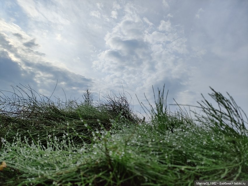 Вечерний моцион — Куклы Integrity Toys (Интегрити): Poppy Parker