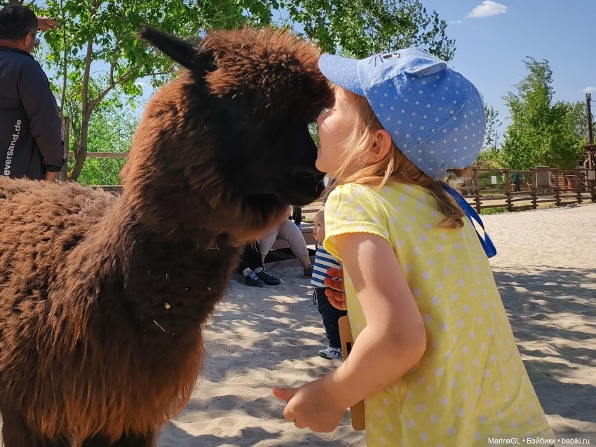 Воронеж❤️❤️❤️ — Куклы Barbie (Барби): Looks