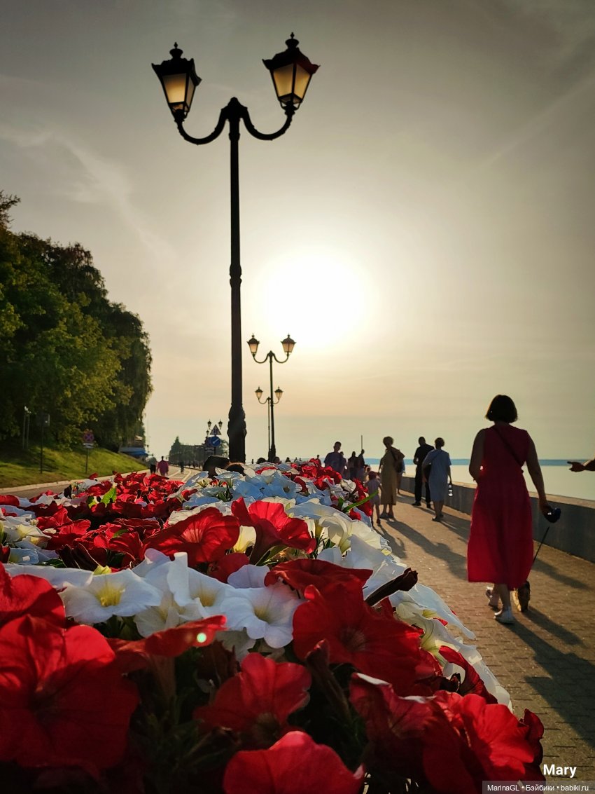 Миха в Чебоксарах — Куклы Integrity Toys (Интегрити): Poppy Parker