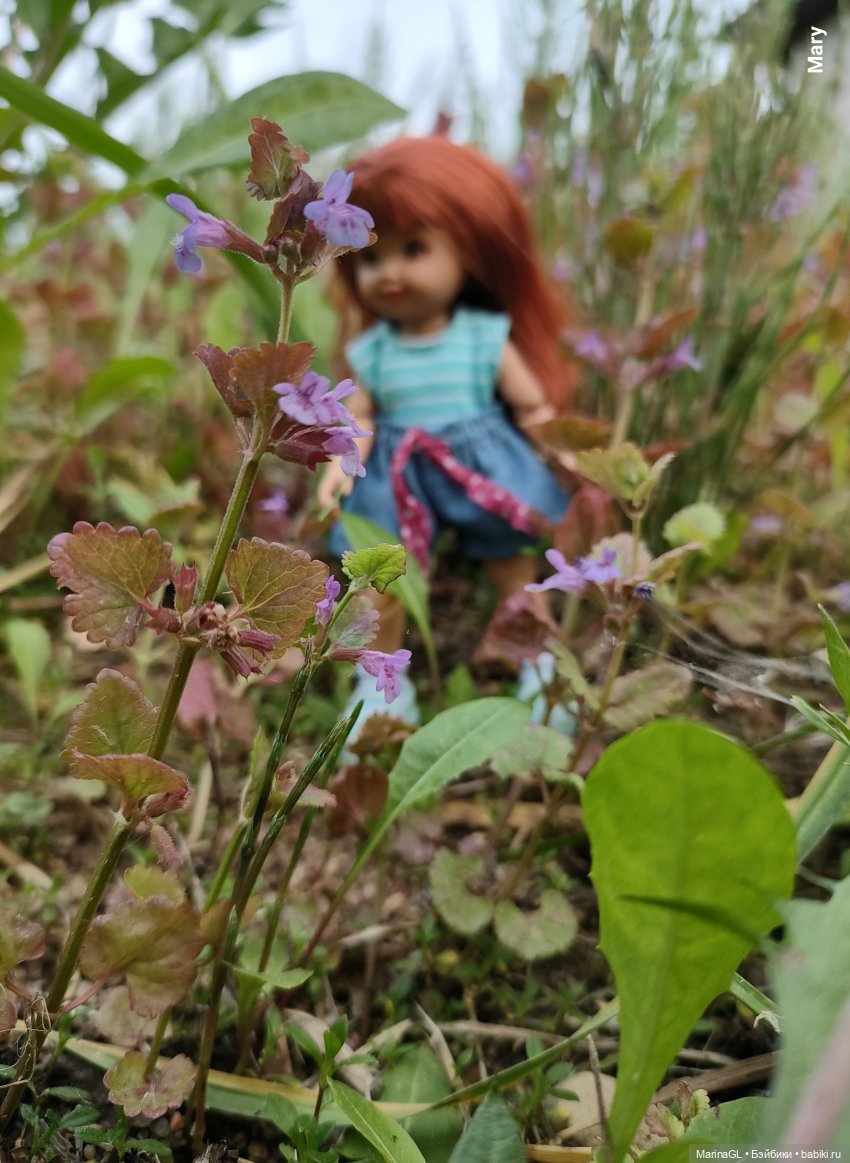 Осторожно, обезьянки — Куклы Mattel (Маттел) разное: Enchantimals