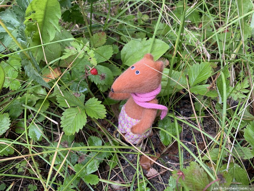 Про путешествия — Туризм и путешествия: фотоотчеты из поездок