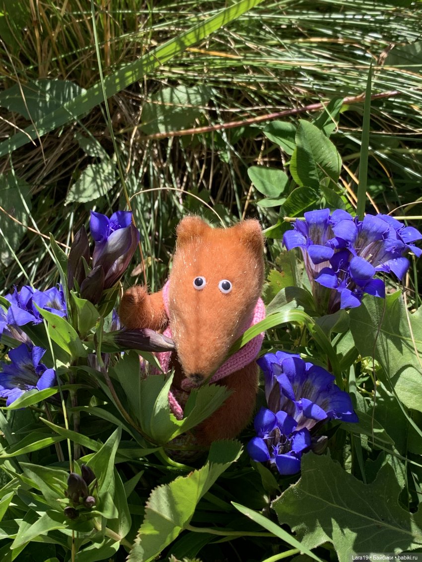 Про путешествия — Туризм и путешествия: фотоотчеты из поездок