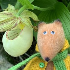 Аптекарский огород. Москва