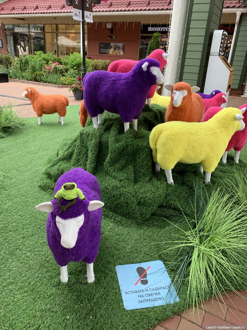 Подмена (лягушачьи истории)