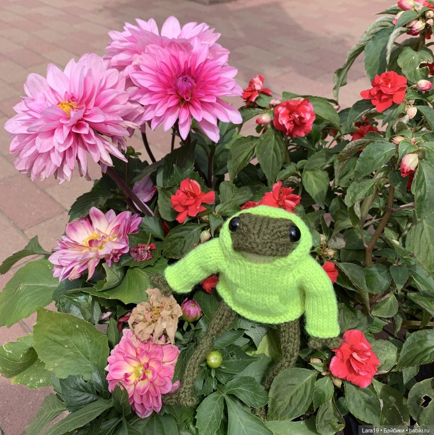 Подмена (лягушачьи истории)