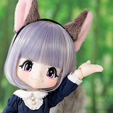 12-я серия кукол Azone Kikipop