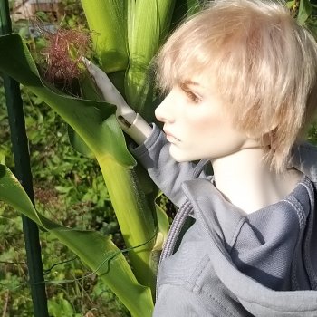 Будни фермера