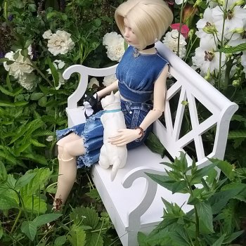 Нова и коты