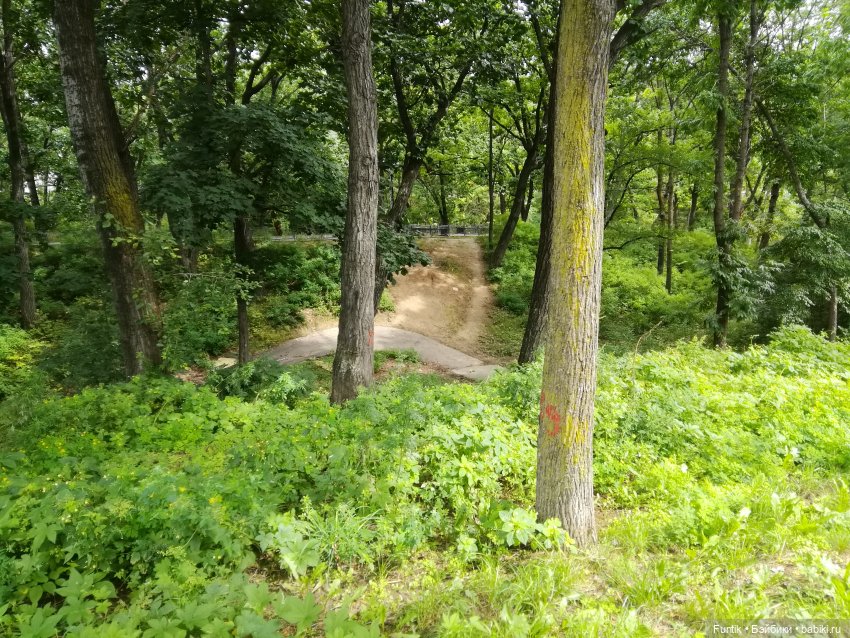 Прошлогодняя прогулка по парку