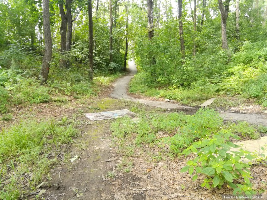 Прошлогодняя прогулка по парку (фото 2)