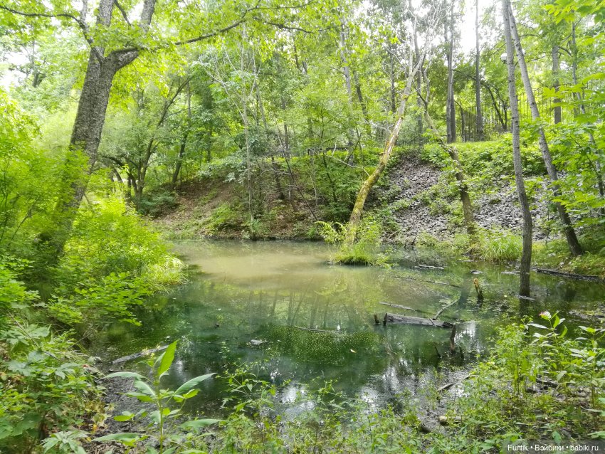 Прошлогодняя прогулка по парку (фото 5)