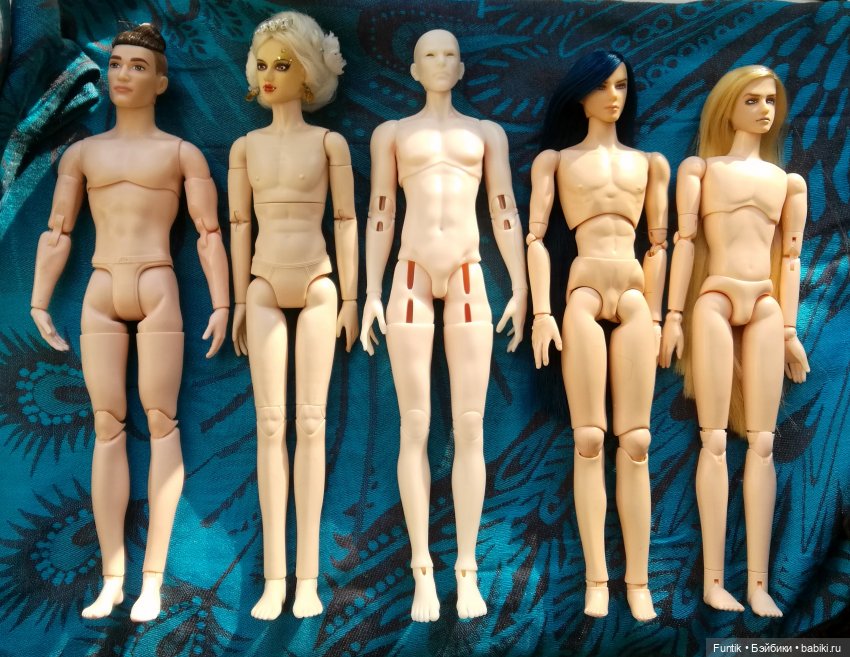 Кен, Синья, Перевалец, Волкс и Обитсу