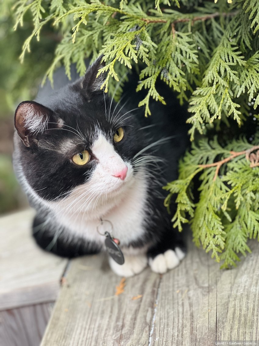 Путешествие Полли в сад МГУ…