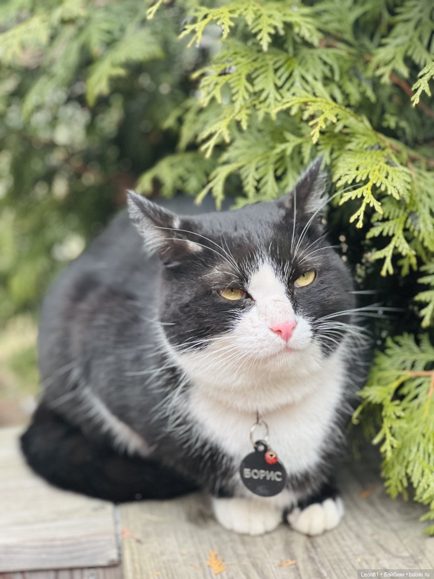 Путешествие Полли в сад МГУ…