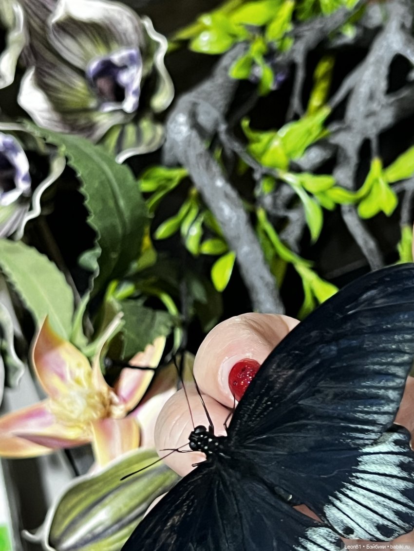 Путешествие Полли в сад МГУ…