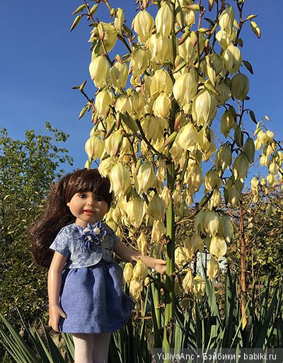 Катя в новом платье и абхазские огородные прогулки (фото 5)