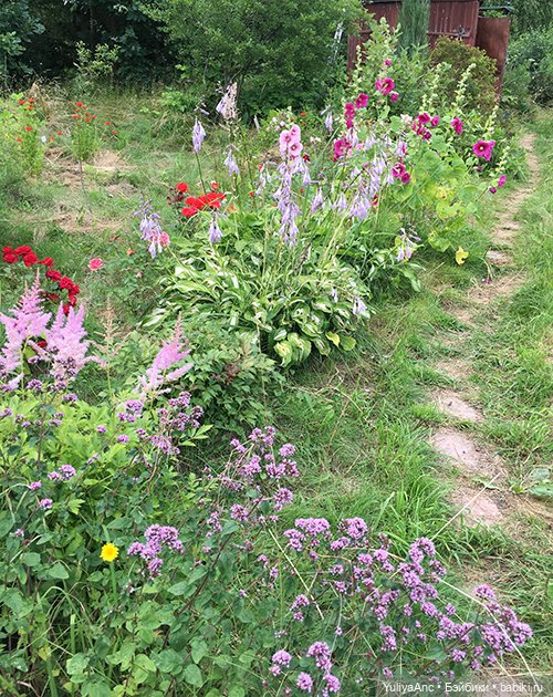 Букет невесты из живых цветов. Миссис Бэйбики 2020 | Бэйбики Букет невесты из живых цветов. Миссис Бэйбики 2020