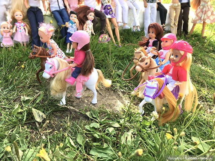 Скачки на пони по-деревенски (фото 7)