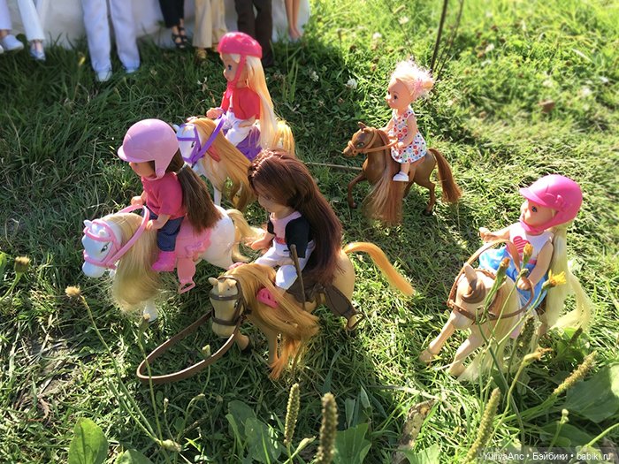 Скачки на пони по-деревенски (фото 6)