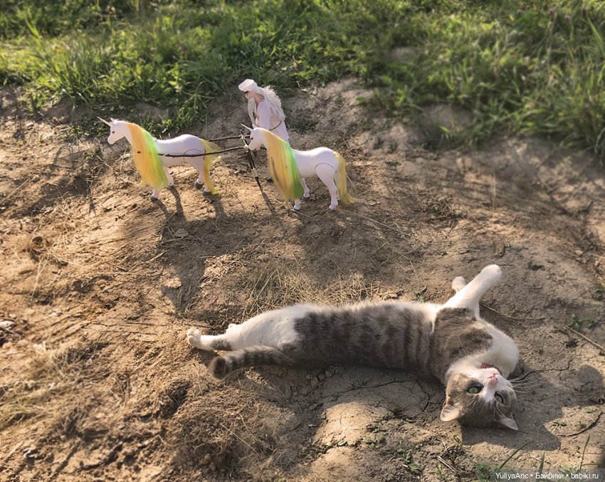 Лев Толстой на пашне. Вся правда (фото 6)