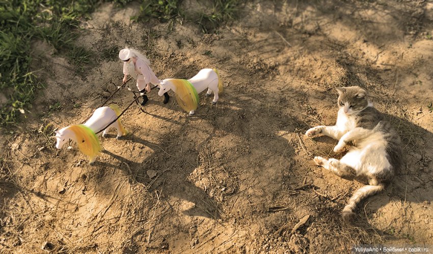 Лев Толстой на пашне. Вся правда (фото 5)