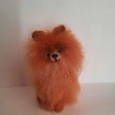 Маленький Шпиц