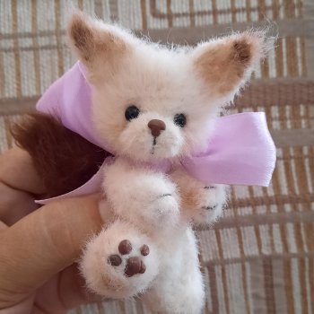 Бельчонок Альбинос