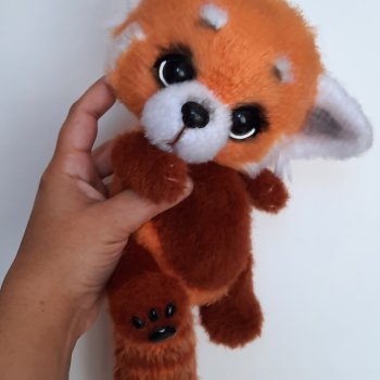 Красная Панда, новый проект