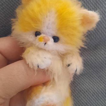 Котенок солнышко