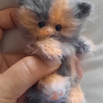Окрас "Черепашка" Котенок