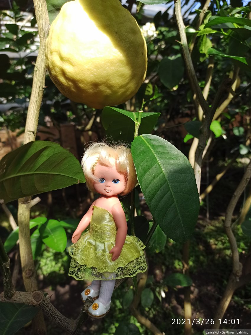 Небольшое путешествие маленькой куколки | Бэйбики Небольшое путешествие маленькой куколки