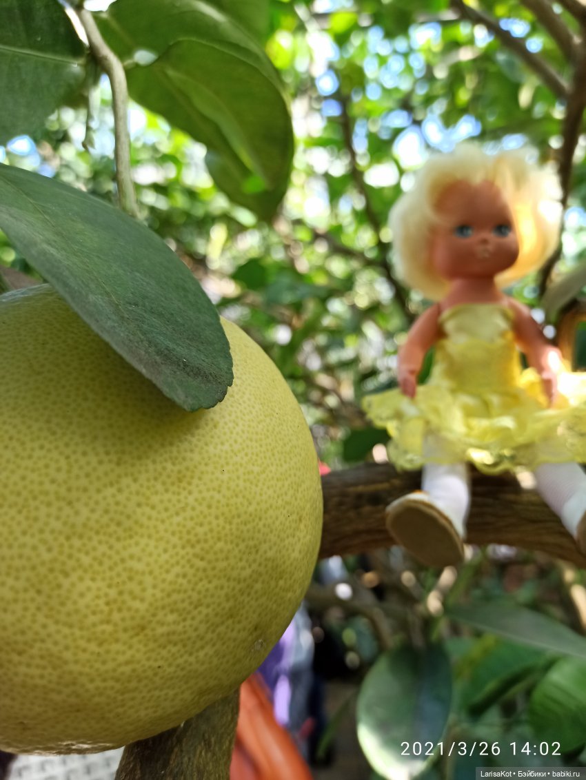 Небольшое путешествие маленькой куколки | Бэйбики Небольшое путешествие маленькой куколки (фото 7)