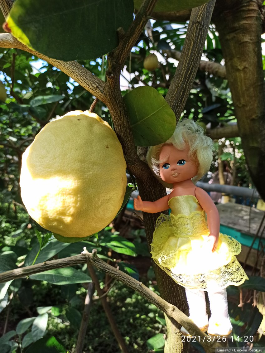 Небольшое путешествие маленькой куколки | Бэйбики Небольшое путешествие маленькой куколки (фото 8)