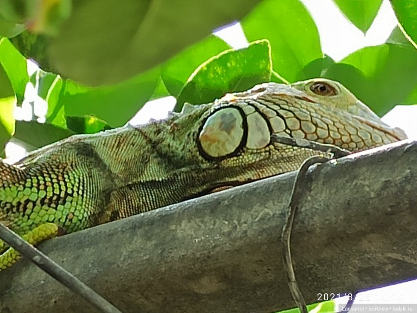 Небольшое путешествие маленькой куколки | Бэйбики Небольшое путешествие маленькой куколки (фото 4)