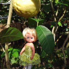 Небольшое путешествие маленькой куколки