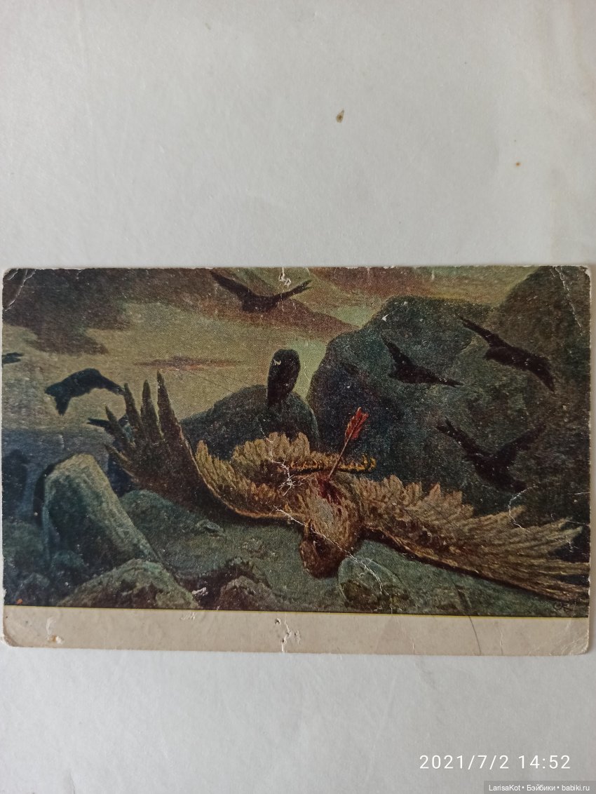 Не каждый может стать орлом | Бэйбики Не каждый может стать орлом