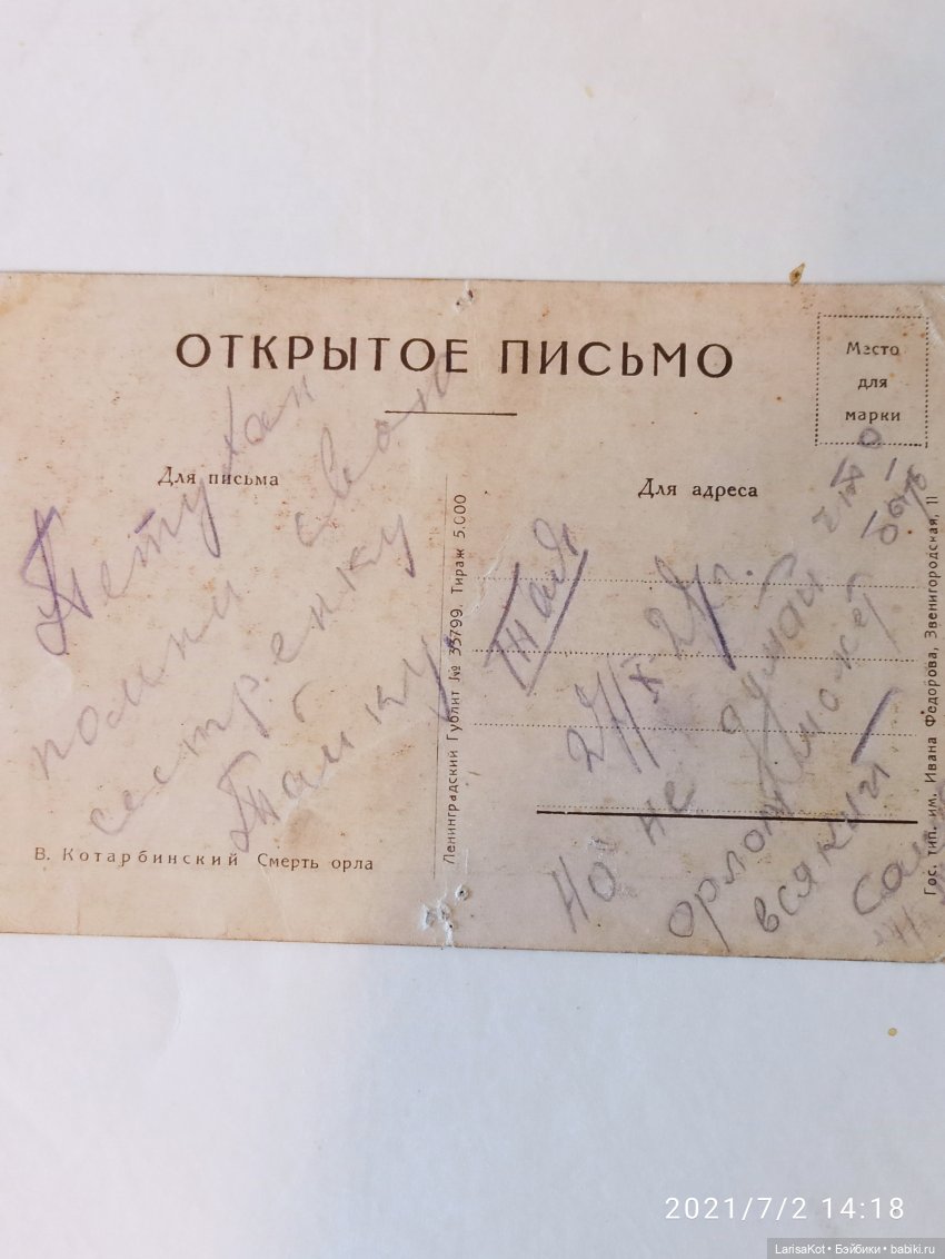 Не каждый может стать орлом | Бэйбики Не каждый может стать орлом (фото 2)