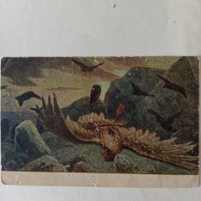 Не каждый может стать орлом