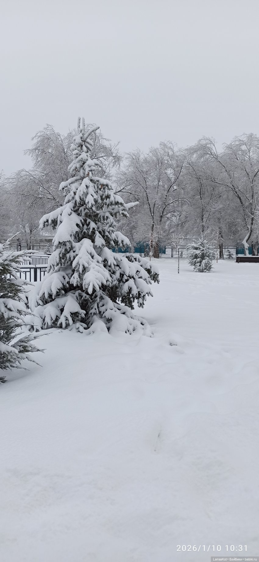 Зимняя прогулка | Бэйбики Зимняя прогулка — Болталка и разговоры обо всем: жизнь (фото 3)