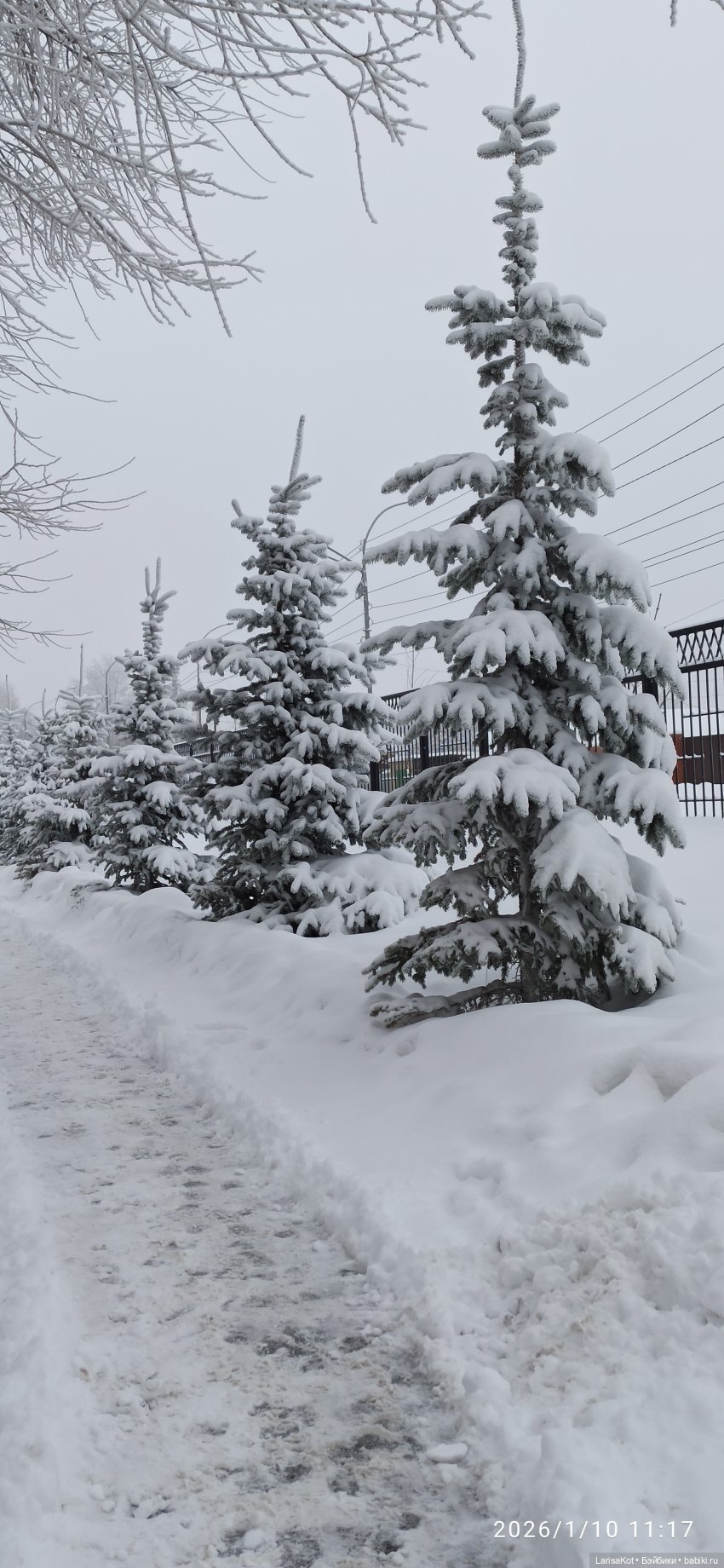 Зимняя прогулка | Бэйбики Зимняя прогулка — Болталка и разговоры обо всем: жизнь (фото 2)