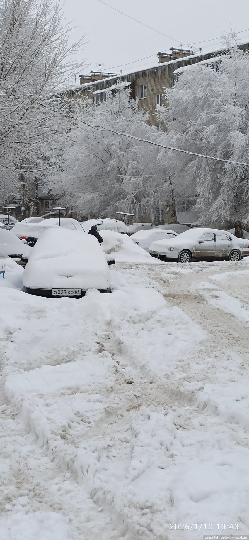 Зимняя прогулка | Бэйбики Зимняя прогулка — Болталка и разговоры обо всем: жизнь