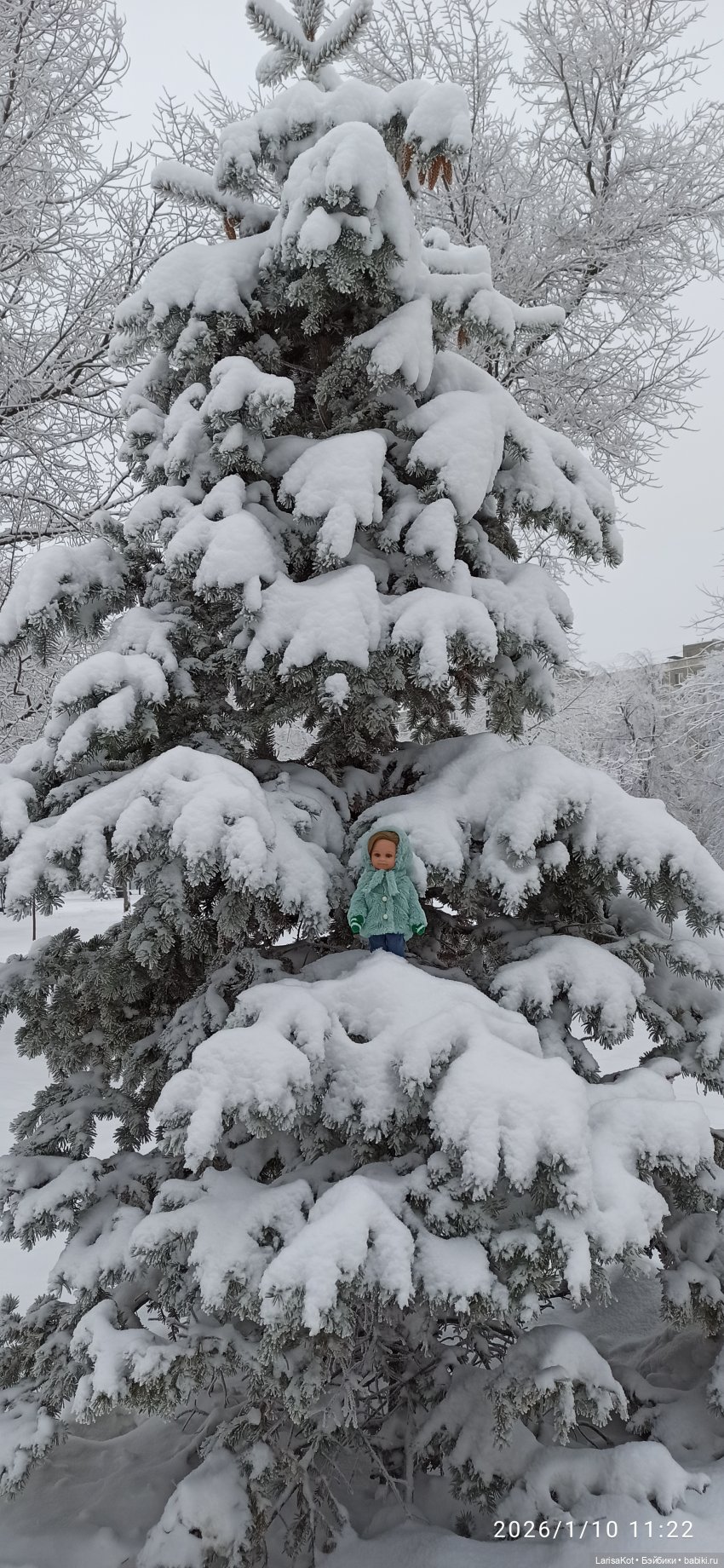 Зимняя прогулка | Бэйбики Зимняя прогулка — Болталка и разговоры обо всем: жизнь (фото 4)