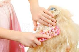 ~ Новенькая ~ — Интересное и необычное: фотоподборки (фото 5)