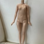 Тело Ванессы Дисней