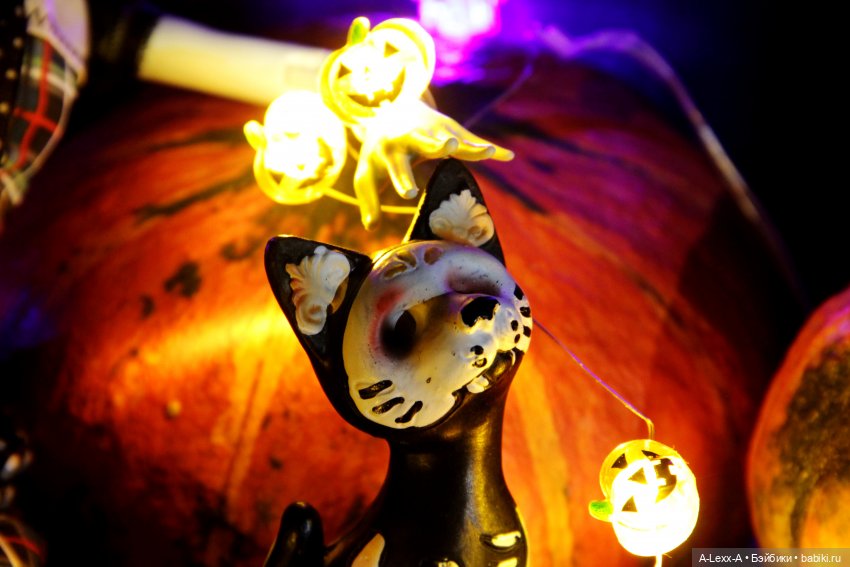 Нечисть позирует — Куклы Monster High и Ever After High: G1 (фото 4)