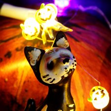 Нечисть позирует