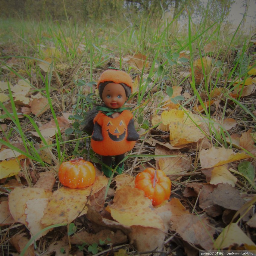 История о том, как маленькая тыквочка нашла свою семью (фото 2)