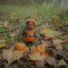 История о том, как маленькая тыквочка нашла свою семью