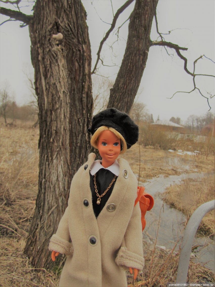 Кузины Барби — Куклы Barbie (Барби): Looks (фото 10)